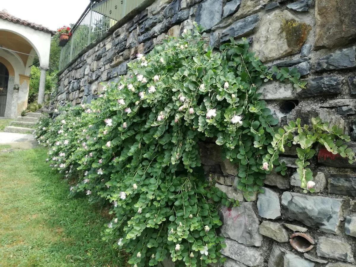 Balcone Dei Limoni Apartment Nesso Italy