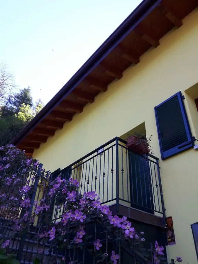 Balcone Dei Limoni Apartment Nesso 0*,  Italy